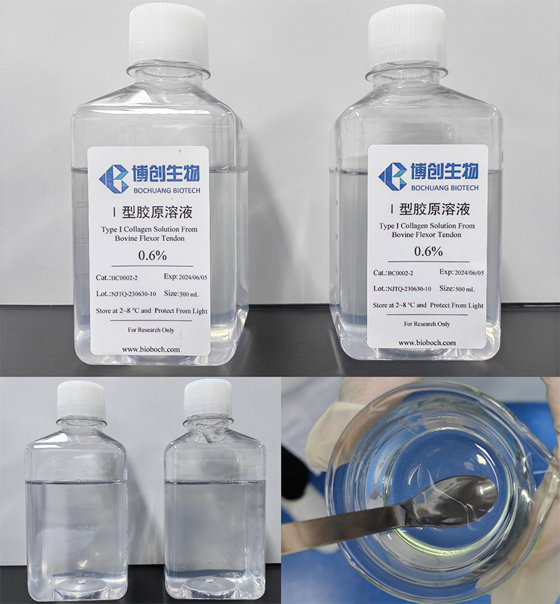 I型新生膠原原料成功研發(fā)